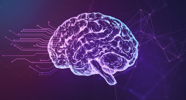 Brainwaves: What You Need To Know
